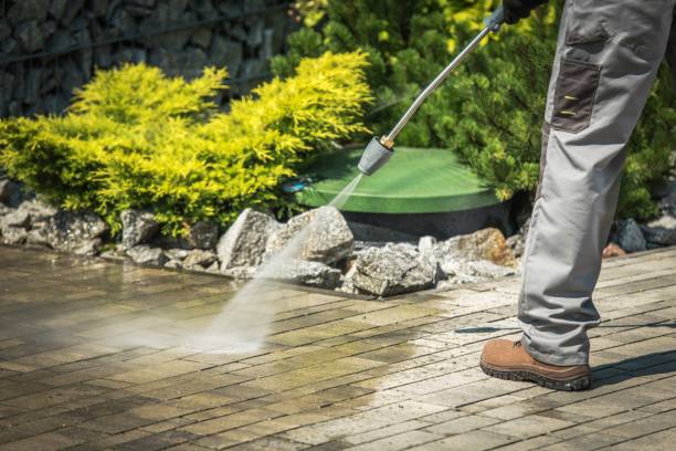 Best House Exterior Washing  in Oreland, PA